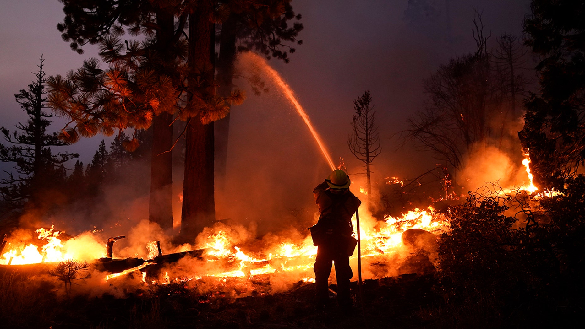 اعتقال أب وابنه للاشتباه بهما في افتعال حرائق الغابات في كاليفورنيا